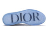 Dior x Air Jordan 1 Low Grey